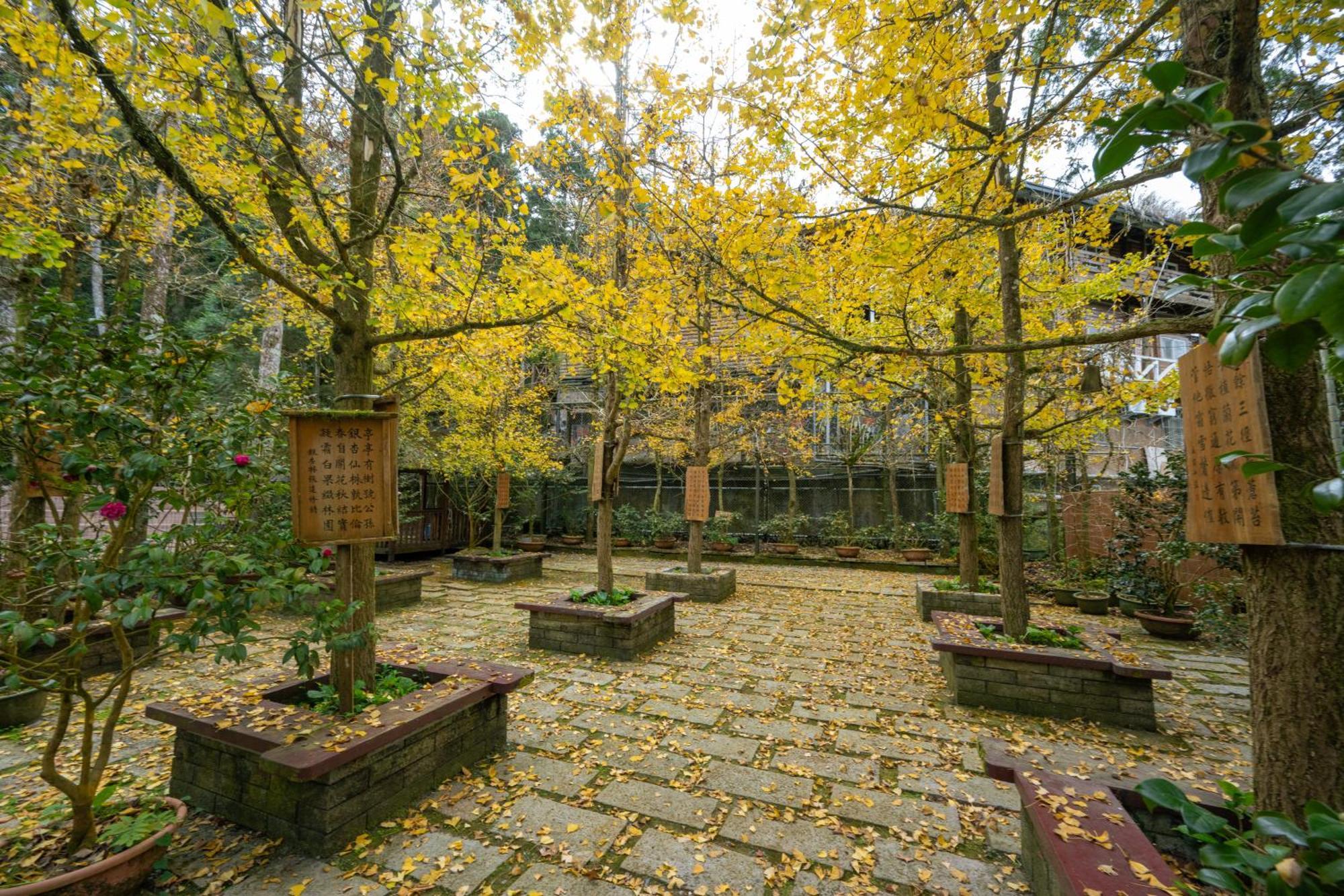 Ginkgo Hotel Lugu Buitenkant foto