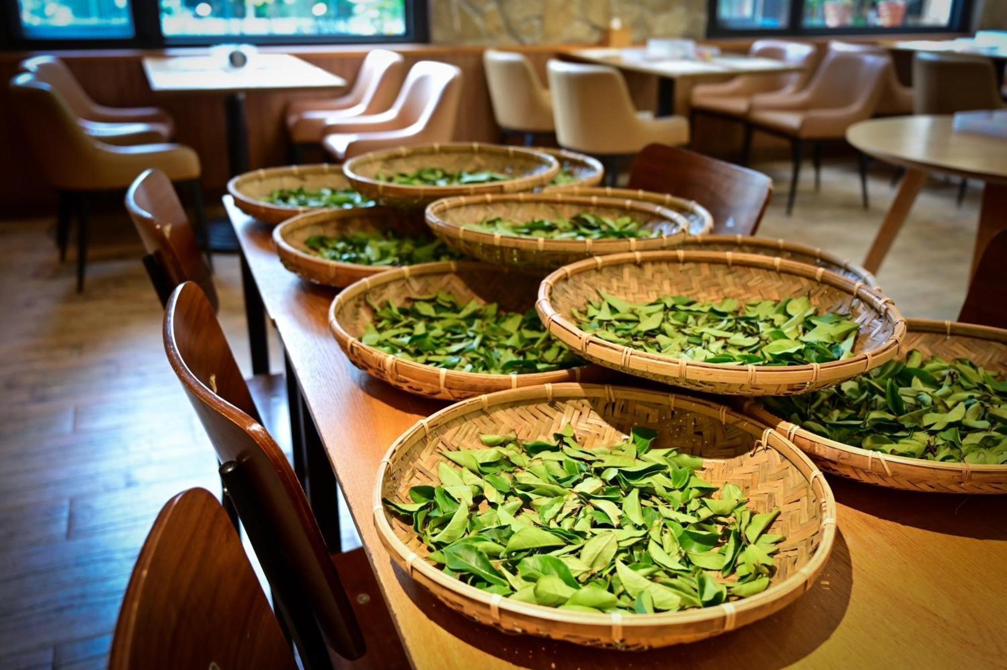 Ginkgo Hotel Lugu Buitenkant foto